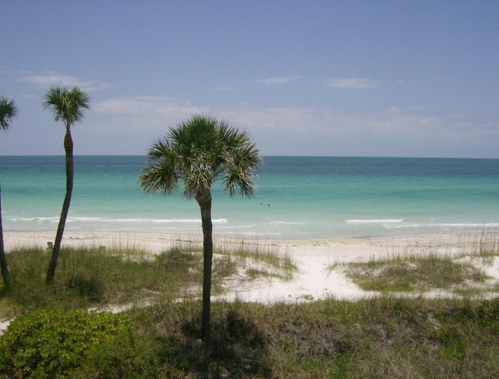 Club Bamboo South - Bradenton Beach Buitenkant foto
